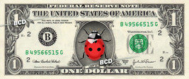 LADYBUG on REAL Dollar Bill - Collectible Custom Cash Money Lady Bug - $62.50 MXN