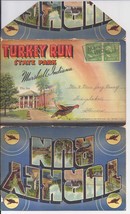 TURKEY RUN STATE PARK INDIANA Souvenir PostCards Picture Pack of 18, 1948, CURT  - £3.95 GBP