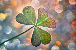 Good Luck Spell – Open Doors, Attract Fortune, Align with Positive Flow - $55.00