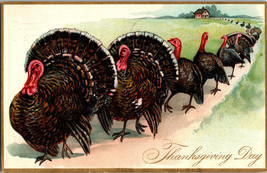 Thanksgiving Day Greetings Raphael Tuck Vintage Postcard Turkey line PM 1909 - £5.55 GBP