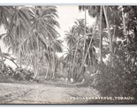 Cocoanut Avenue Street View Couva-Tabaquite-Talparo Tobago BWI UDB Postc... - $35.21