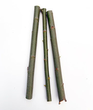 3 Hybrid Willow Cuttings is One of the Fastest Growing Tree - $8.41