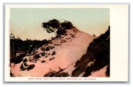 Pacific Grove Sand Dunes Monterey California CA UNP UDB Postcard M17 - £3.12 GBP
