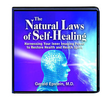 THE NATURAL LAWS OF SELF-HEALING 9 CD LIFE CHANGING SEMINAR GERALD EPSTE... - $79.08