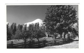 Chile South America Log Cabin Mountains 1950 Real Photo No Postcard Format - £5.22 GBP