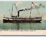 Steamer Cabrillo in Avalon Harbor Santa Catalina Island Postcard 1900&#39;s - $9.90