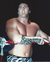 Brutus The Barber Beefcake 8X10 Photo Wrestling Picture Wwf Wcw - £3.88 GBP