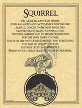 Squirrel Prayer poster - $6.60