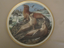 SEA LIONS collector plate NORMAN ADAMS American Wildlife LENOX Seal - $40.00