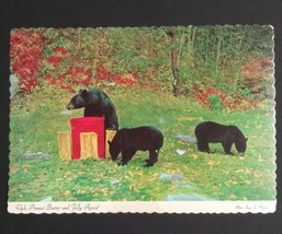 Black Bears Peanut Butter And Jelly Again! Autumn Dexter Press 67107-B Postcard - £4.01 GBP