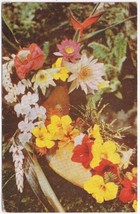 Postcard Group Of Island Flowers Near Honolulu Hawaii - £2.25 GBP