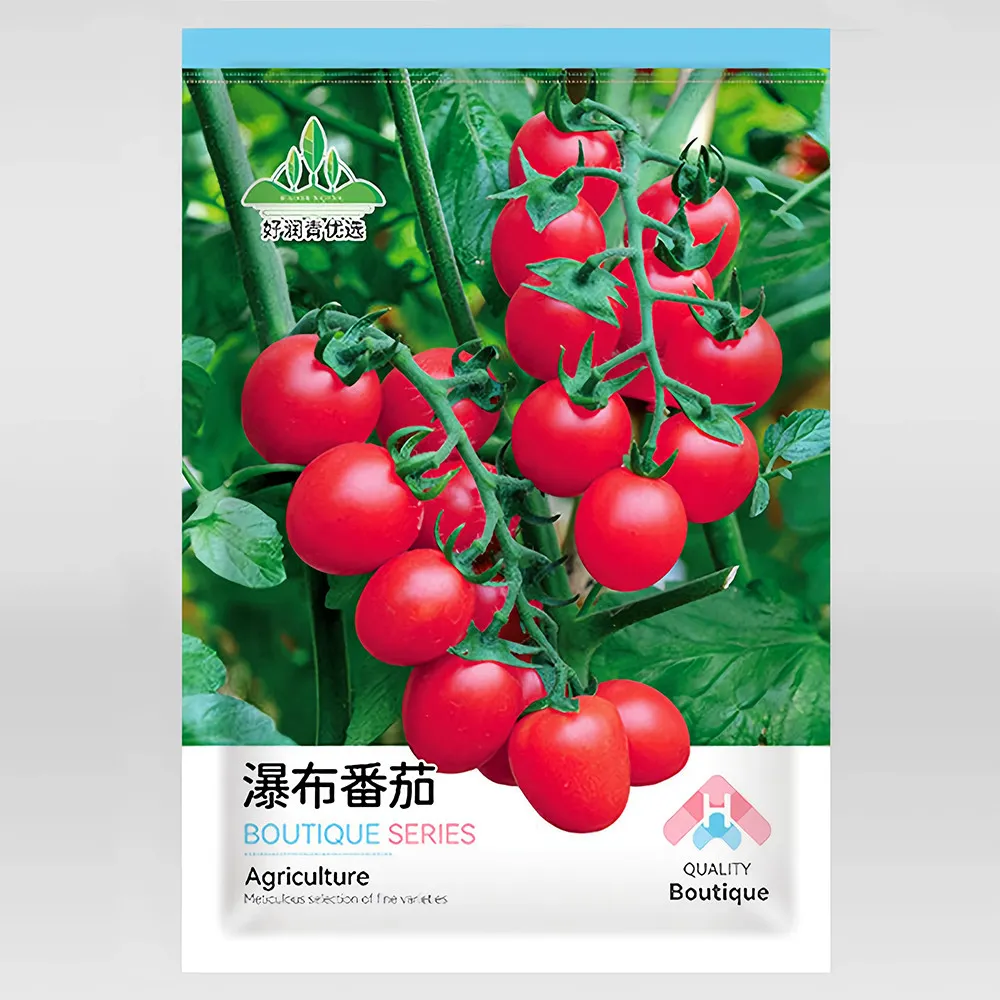 5 Bags (100 Seeds / Bag) Waterfall Tomato Seeds for Strong Yields ZZ-1662 - £22.20 GBP