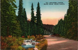 Spearfish Canyon Black Hills South Dakota Postcard PC313 - £3.97 GBP