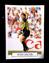 Peter Shilton England Football Team✱ Rare Sticker Fifa World Cup Italy 90 (Pt) - £5.17 GBP