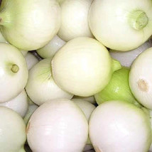 500 Seeds Crystal White Wax Pearl Onion Allium Cepa Vegetable  - £7.58 GBP