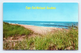 Cape Cod National Seashore Cape Cod MA Massachusetts UNP  Chrome Postcard M7 - £2.30 GBP