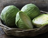1000 Cabbage Seeds  Early Round Dutch Heirloom Non Gmo Fresh Fast Shipping - £7.18 GBP