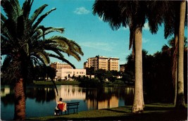 Mirror Lake Skyline Of St Petersburg Florida FL Unposted Palm trees Postcard A2 - £16.96 GBP