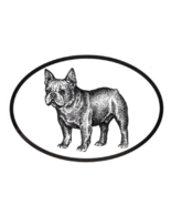 French Bulldog Decal - Dog Breed Oval Vinyl Black &amp; White Window Sticker - £3.19 GBP