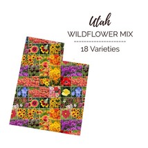Wildflower UTAH State Flower Mix Perennials Annuals USA NonGMO 1000 Seeds - £7.39 GBP