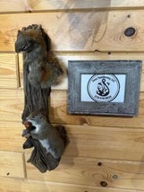 Beautiful Adorable Red Squirrel Small Animal Taxidermy Wall Mount - £314.65 GBP