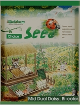 500 Seeds, Bellfarm Bi-color Mid Dual Daisy Seeds YQ-1093 - £16.12 GBP