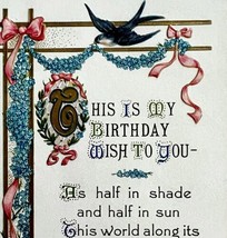 Happy Birthday Wish Greeting Postcard 1910 BAG Artist Card Bird Embossed... - £14.02 GBP