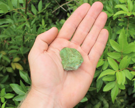 1 Natural Rough Chrysoprase Crystal: Raw Specimen (Healing Reiki Rock Mineral) - £8.92 GBP