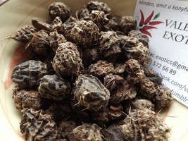 Large Black Tigernut - Ground Almond - Chufa - 5+ tubers - T 009 - £1.57 GBP