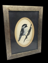 Carolyn Mejstrik Chickadee Bird Art Print Signed Framed 8&quot; x 6&quot; Oklahoma Artist - £67.52 GBP