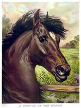 7972.Decoration Poster.Home Room wall art interior design.Horse.Equine decor - £13.47 GBP+