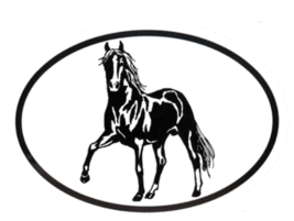 Paso Decal - Equine Horse Breed Oval Black &amp; White Window Sticker - £3.13 GBP