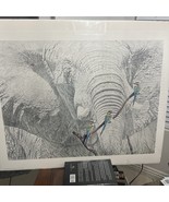 Rod Frederick Limited Edition Hand Signed 50/1000 Numbered  1994 Rare - $230.17 CAD