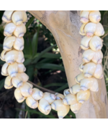 da Hawaiian Store Beige Handcrafted Shell Lei... - $29.99