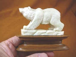 (bear-10) polar bear of shed ANTLER figurine Bali detailed carving Arcti... - $98.87