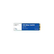 WESTERN DIGITAL - CSSD WDS100T3B0B 1TB WD BLUE SATA M.2 - £140.60 GBP
