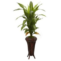 57” Dracaena with Stand Silk Plant - Real Touch - £144.11 GBP