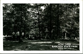 RPPC Picnic Tables Babcock State Park Clifftop West Virginia WV UNP Postcard C12 - £8.50 GBP