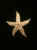 Vintage 80s gold tone etched starfish brooch - £14.26 GBP