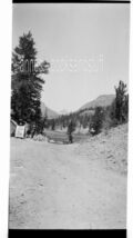 BLACK &amp; WHITE NEGATIVE * snapshot Road in the Woods Trees Lake Building ... - $7.95