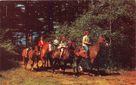 Lancaster Pennsylvania a Cavallo Riders ~ Popolare Past Time Periferia Cartolina - £6.80 GBP