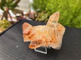 Tangerine Quartz Specimen Natural Crystals Cluster (TN19) - $24.74