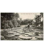 Lily Pond Como Park ST. Paul MN Unused Antique Postcard - People in Peri... - $8.67 CAD