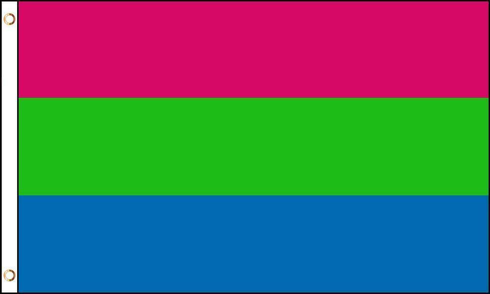 POLYSEXUAL 3 X 5 FLAG 3x5 FL729 wall hanging poly sexual gay pride banne... - $6.60