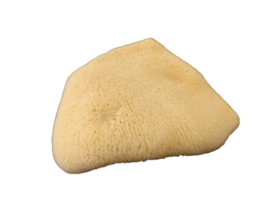 Antimension Sponge Natural Greek Orthodox Chalice Prosphora Crumbs Cleaning - £8.04 GBP+