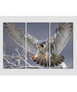 Peregrine Falcon Canvas Print Wild Nature Wall Art Hawk Photography Post... - £38.49 GBP