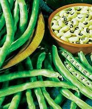 Pea Seed, California Black Eye Peas, Heirloom, Organic, Non Gmo, 20+ Seeds, Peas - £2.55 GBP