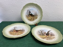 Hand Painted Limoges France Decorative Plate Birds Lot of 3 *b - £127.88 GBP