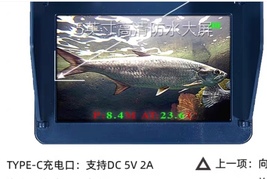 Item image 12