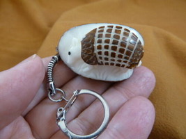 TNE-ARM-320A) little white Armadillo Dillo brown TAGUA NUT palm keychain... - £12.67 GBP